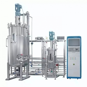 Stainless Steel Fermenter Bioreactor Industrial Bioreactors-HANKER