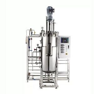 Industrial Bioreactor Bioreactor Lab Scale-HANKER