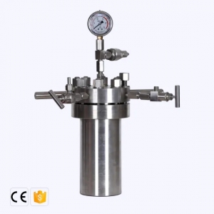 High Pressure Stirring Reactor