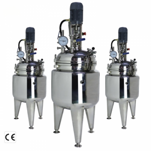 Stainless Steel Chemical Reactor