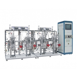 Four station parallel stainless steel bioreactor-HANKER