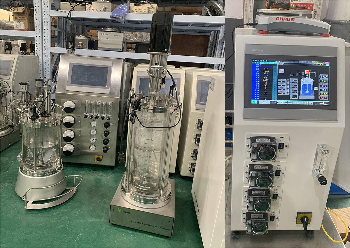 Exploring the Features, Advantages, and Disadvantages of Laboratory Bioreactor Equipment